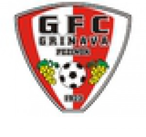 grinava-futbalovy-klub.jpg